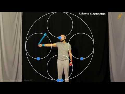 Видео: "Инспин INSPIN" цветы.  Общие принципы