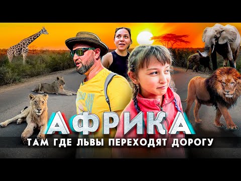 Видео: ЮАР | Парк Крюгера. Маршрут по Южной Африке на 2 недели