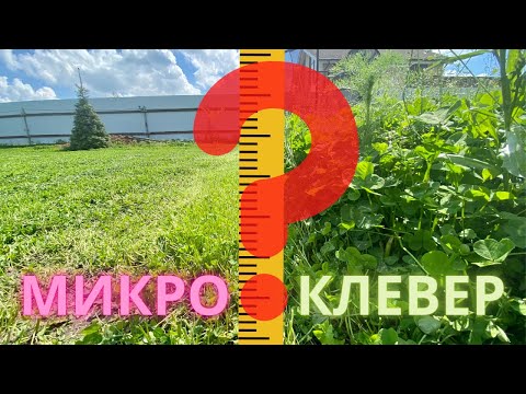 Видео: МИКРОКЛЕВЕР | ВСЕ ЭТАПЫ | Не покупай, пока не посмотришь!