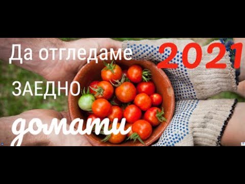 Видео: Субстрат за перфектен разсад