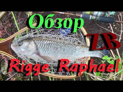 Видео: Стик для голавля и жереха. Обзор ZB Rigge Raphael