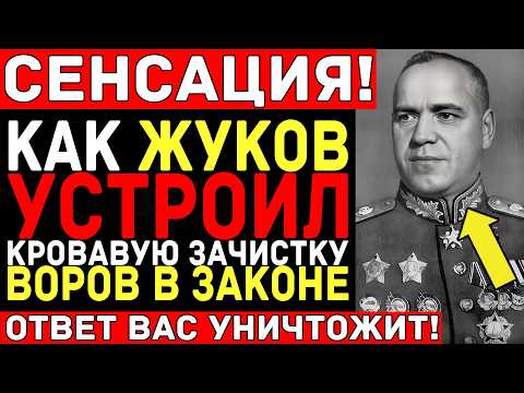 Видео: Даже СТАЛИН содрогнулся — ЖУКОВ против ВОРОВ В ЗАКОНЕ: 180 трупов за 3 дня!