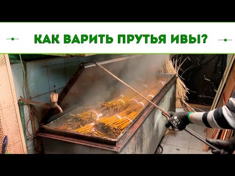 Видео: Русская ива. Мастер-класс - Как варить прутья ивы?