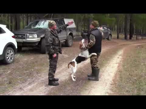 Видео: Тюменские испытания  -  2025 г