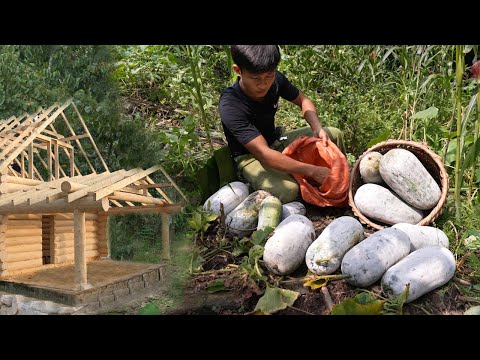Видео: Сбор зимней дыни.Продажа на рынке.Покупка инструментов.Строительство нового дома.Приготовление ужина