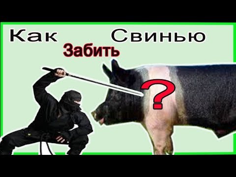 Видео: Как правильно забить свинью Жизнь в деревне How to properly slaughter a pig Village life