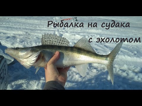 Видео: Рыбалка на Бердском заливе, март 2024г