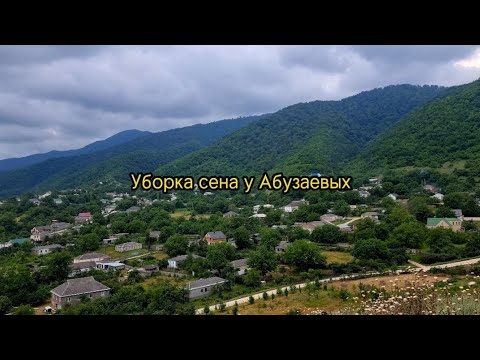 Видео: Сенокос у Абузаевых в с.Чумли