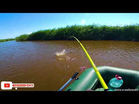 Видео: СУПЕР РЫБАЛКА