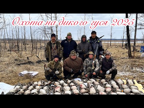 Видео: Охота на гусей на территории традиционного природы пользования Сюльдюкар.