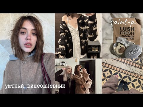 Видео: видеодневник. теплый холодный петербург