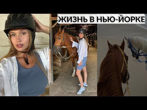 Видео: НАМ НУЖНО ОБ ЭТОМ ПОГОВОРИТЬ. ЖИЗНЬ В НЬЮ-ЙОРКЕ. ПОКУПКИ КОСМЕТИКИ. ПРОГУЛКА НА ЛОШАДЯХ {DARY YORK}