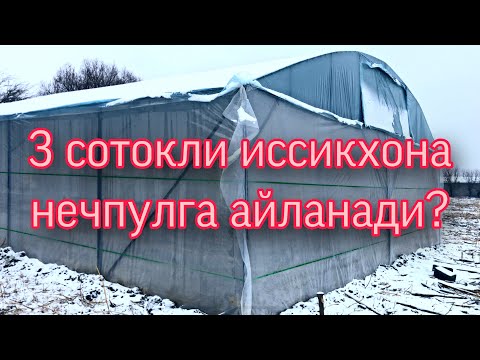 Видео: 3 СОТОК ИССИКХОНАНИ НЕЧПУЛГА КУРСА БУЛАДИ. Кичик иссикхона ўз колимиз билан!