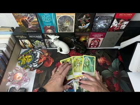 Видео: ‼️ВАШ ВРАГ СНОВА ПОПАЛ НА БУМЕРАНГ‼️