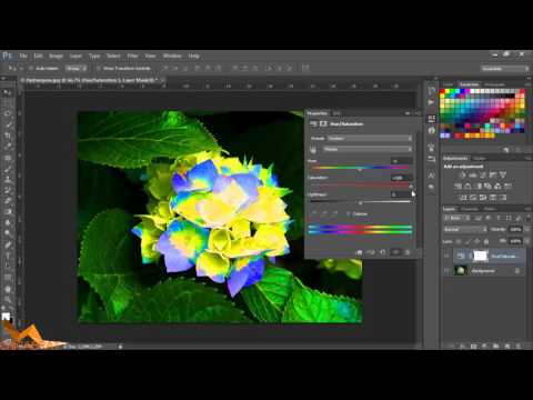 Видео: Photoshop уроци за начинаещи епизод 2  Layers и Adjustments (Урок 2014)