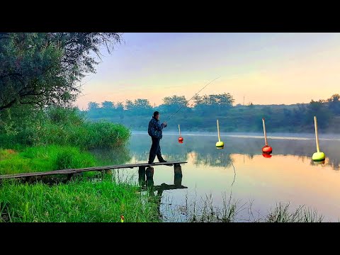 Видео: РИБАЛКА НА ТОВСТОЛБА З НОЧІВЛЕЮ. Закриття сезону ловлі товстолоба