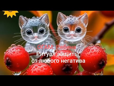 Видео: Огам Рябина. Ритуал защита от любого негатива