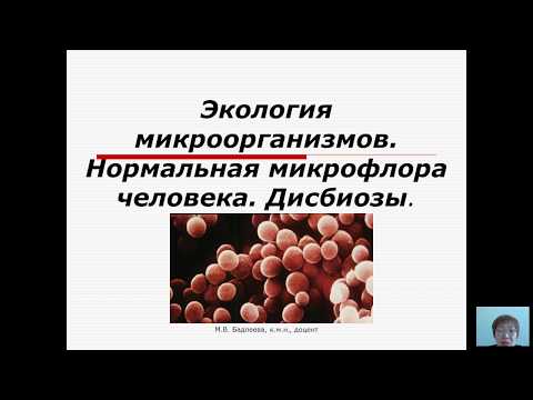 Видео: Общая микробиология (Бадлеева М.В.) - 5 лекция