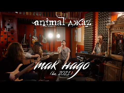 Видео: Animal ДжаZ — Так надо (Акустика, Live, 2021)