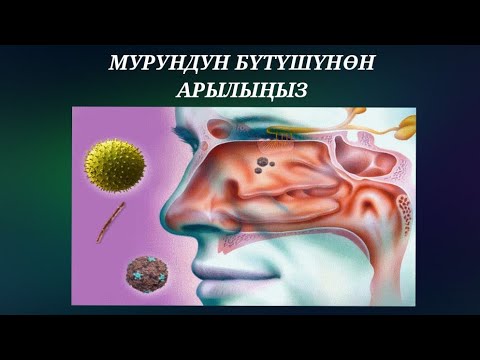 Видео: КАКЫРЫК КӨП БӨЛҮНҮП ЧЫКСА / МУРУНУҢУЗ БҮТСӨ