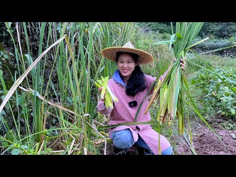 Видео: Таким образом, рис со вкусом воды получается подлинным и имеет потрясающий вкус.