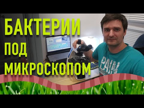 Видео: Клещики под микроскопом.Вермикомпост под микроскопом. Бактерии под микроскопом.