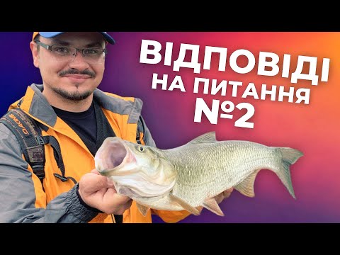 Видео: ВНП №2. Flagman чи Ібіс? Спінінг на судака до 100$? Чому "мульти" такі не популярні? Купуєш на Алі?