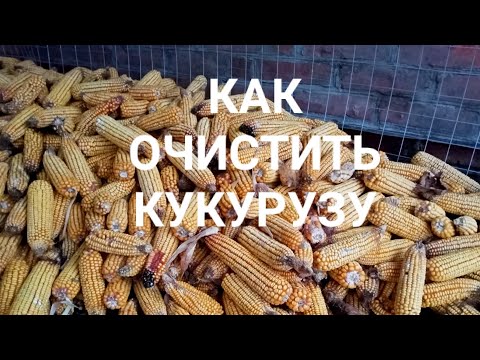 Видео: Как выбить зерно  с помощью бетономешалки / Лущилка для кукурузы