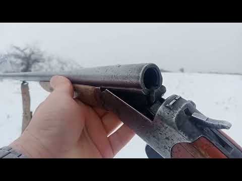 Видео: ТАЪҚИБ аз паси ГУРГҲО.