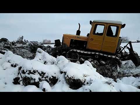 Видео: Трактор т-54