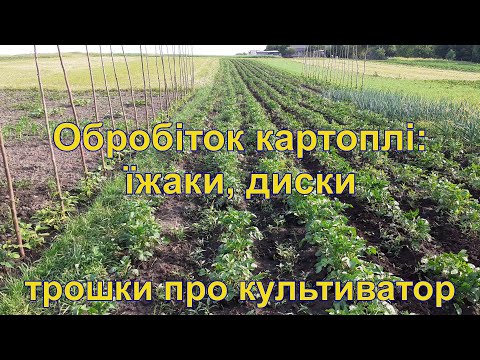 Видео: Обробіток картоплі: їжаки, дискові підгортачі.