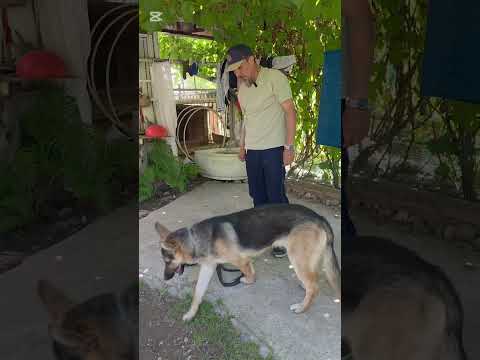 Видео: Писается от эмоций.