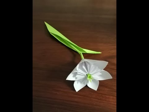 Видео: "Нарцисс"