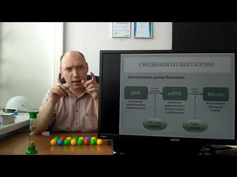 Видео: Биоинформатика-2017. 14. Открытая рамка считывания