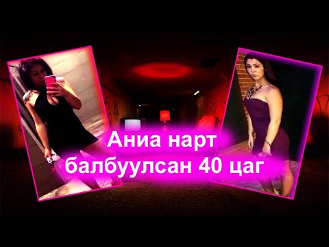 Видео: Гоё аниатай Чатаар танилцсан биш...