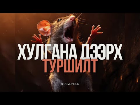 Видео: Хулгана дээрх туршилт - ВИРУС БИДНИЙ АМЬДРАЛД