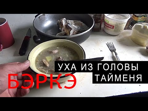 Видео: УХА ИЗ ГОЛОВЫ ТАЙМЕНЯ. ТАЁЖНАЯ КУХНЯ.