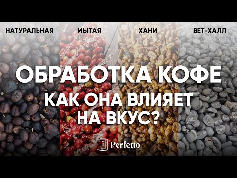 Видео: Обработка кофе. Какие бывают и как влияют на вкус кофе? От чего зависит выбор обработки?