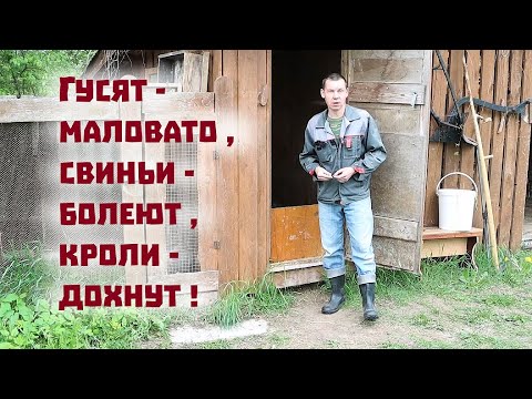 Видео: Разросшееся хозяйство подкидывает проблему за проблемой!..