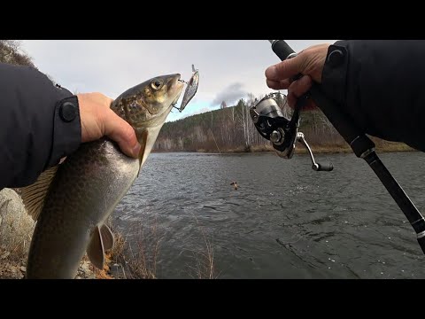 Видео: Уловистые воблеры на ленка и тайменя 🎣