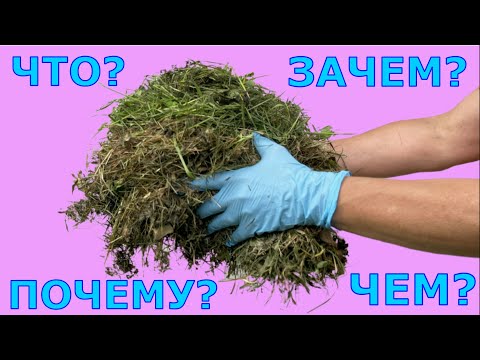 Видео: Мульча. АЗБУКА МУЛЬЧИРОВАНИЯ