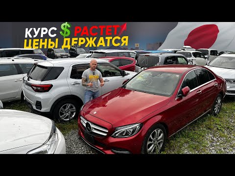 Видео: Сколько стоят Авто из Японии в Августе ❓ Курсы растут / Цены нет ❓