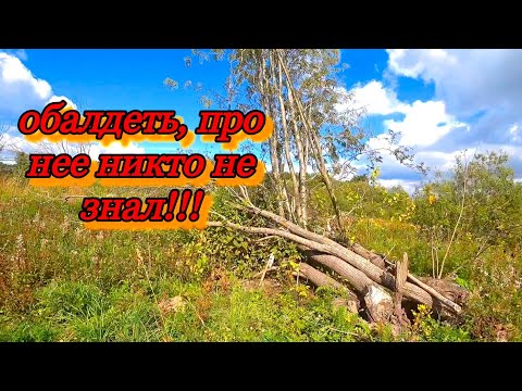 Видео: ВОТ ЭТО ДА!!! НАШЛИ НА КРАЮ ДЕРЕВНИ НЕТРОНУТУЮ КУЗНИЦУ ВОЗЛЕ УПАВШЕГО ДЕРЕВА! МЕТАЛЛОКОП