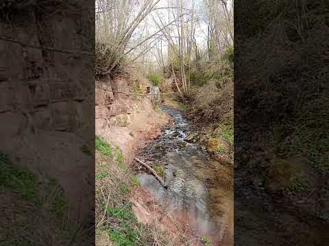Видео: первый одиночный ПВД 🚴‍♀️🏕