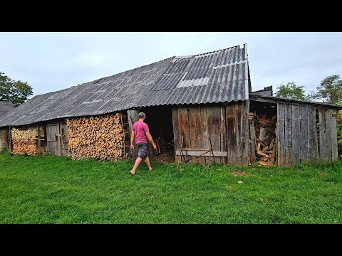 Видео: Остался один в деревне. ЖЕНА уехала в город, а мне и так хорошо.