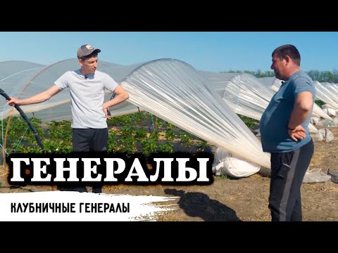 Видео: Генерал клубничного поля // Прогнозы клубничного бизнеса