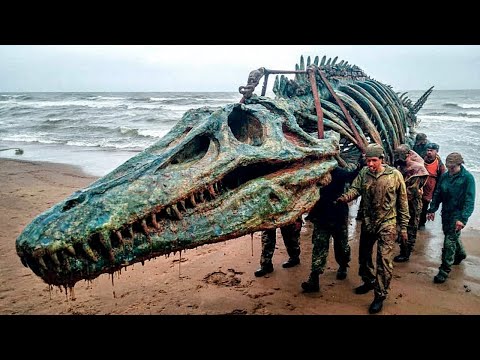 Видео: В США случайно обнаружены крупнейшие окаменелости морского монстра