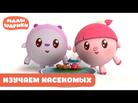 Видео: ⭐Малышарики⭐ - Изучаем насекомых