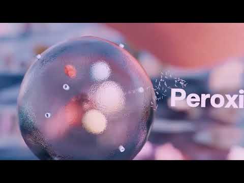 Видео: Органели на животинска и растителна клетка