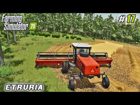 Видео: Валкование и обмолот пшеницы для повышения прибыли | Farming simulator 25 | Ферма Этрурия | Таймл...